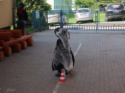 Čarodějnický rej