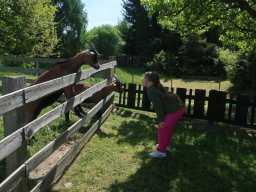 Ekocentrum Brniště - Drůbež