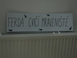 Den dětí - pohádková školka