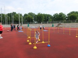 Sportovní hry v Žitavě