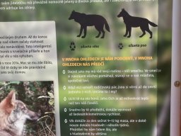 Školní výlet - Areál Vrch Bělá
