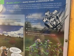 Školní výlet - Areál Vrch Bělá