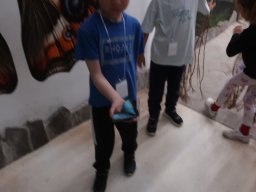 Motýlí den