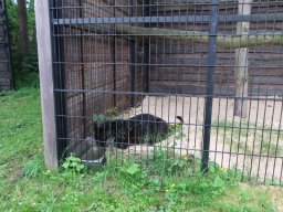 Projekt - Zahrada plná života - výlet do Doks