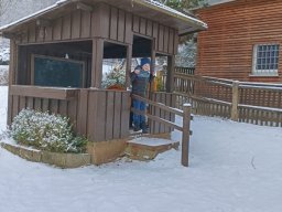 Ptačí svatba