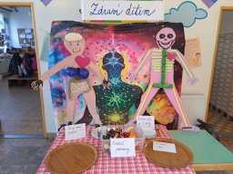 Projektový den Zdraví