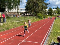 Sportovní hry