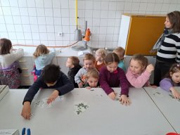 Návštěva lékárny