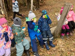 Ekovycházka v Lückendorfu