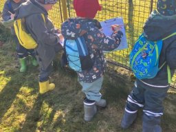 Volám tě, sluníčko