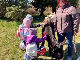 Oslí farma Křižany