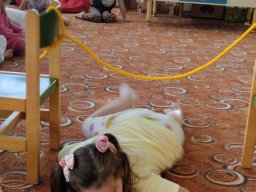 Se Sokolem do života - kobylka Emilka