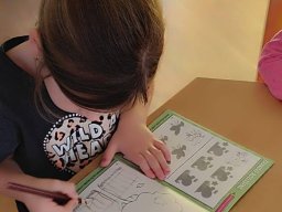 Se Sokolem do života - kobylka Emilka