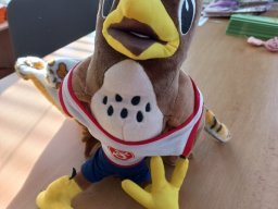 Se Sokolem do života - kobylka Emilka