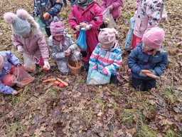 Ježíšek naděluje