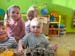 Pomáháme ptáčkům