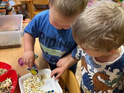 Pomáháme ptáčkům