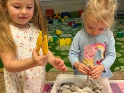 Pomáháme ptáčkům