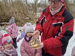 Pomáháme ptáčkům