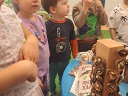 Pomáháme ptáčkům