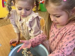 Pomáháme ptáčkům