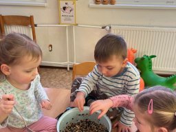 Pomáháme ptáčkům