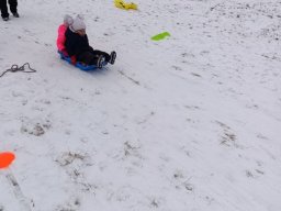 Zimní sportovní hry