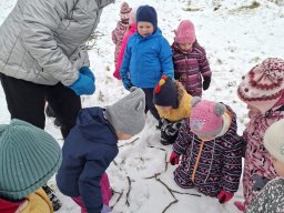 Zimní sportovní hry