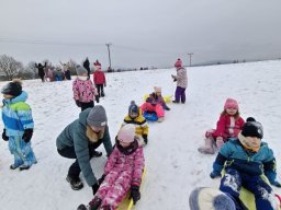 Zimní sportovní hry