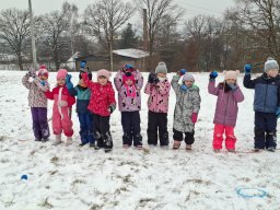 Zimní sportovní hry