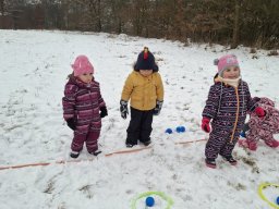 Zimní sportovní hry