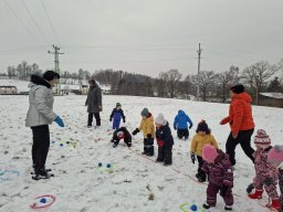 Zimní sportovní hry