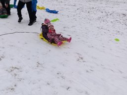 Zimní sportovní hry