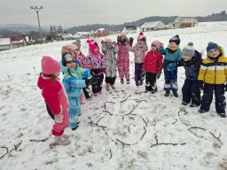 Zimní sportovní hry