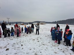 Zimní sportovní hry