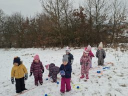 Zimní sportovní hry