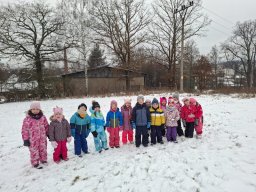 Zimní sportovní hry