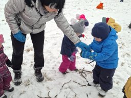 Zimní sportovní hry