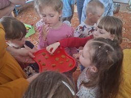 Ekoprogram Zlaté pampelišky