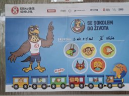Se Sokolem do života - vyhodnocení
